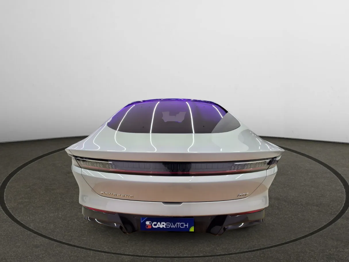 dongfeng 007-reev IMAGE