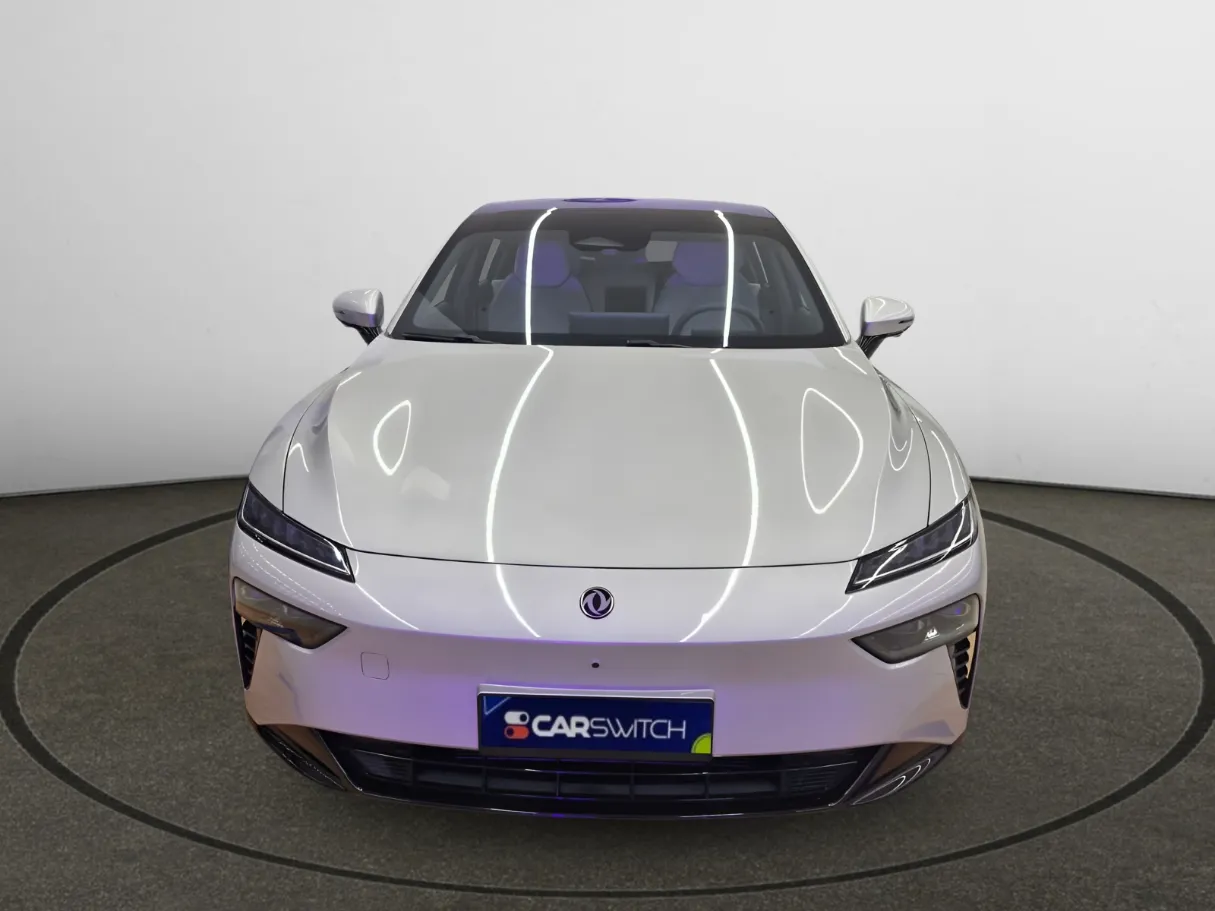 dongfeng 007-reev IMAGE