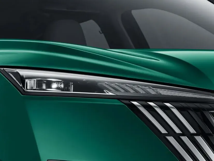 makes.dongfeng models.mage IMAGE