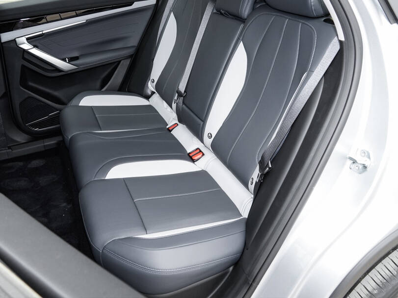 makes.geely models.starray IMAGE