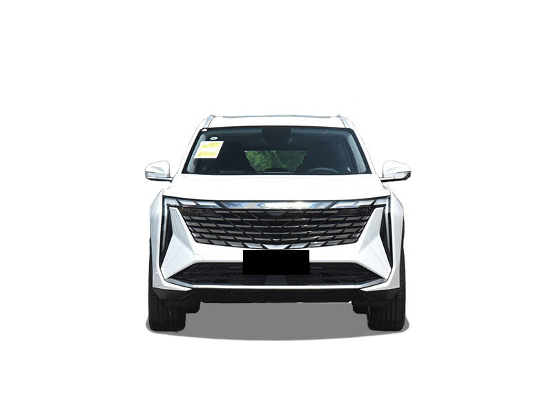 makes.geely models.starray IMAGE