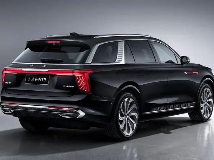 makes.hongqi models.e-hs9 IMAGE