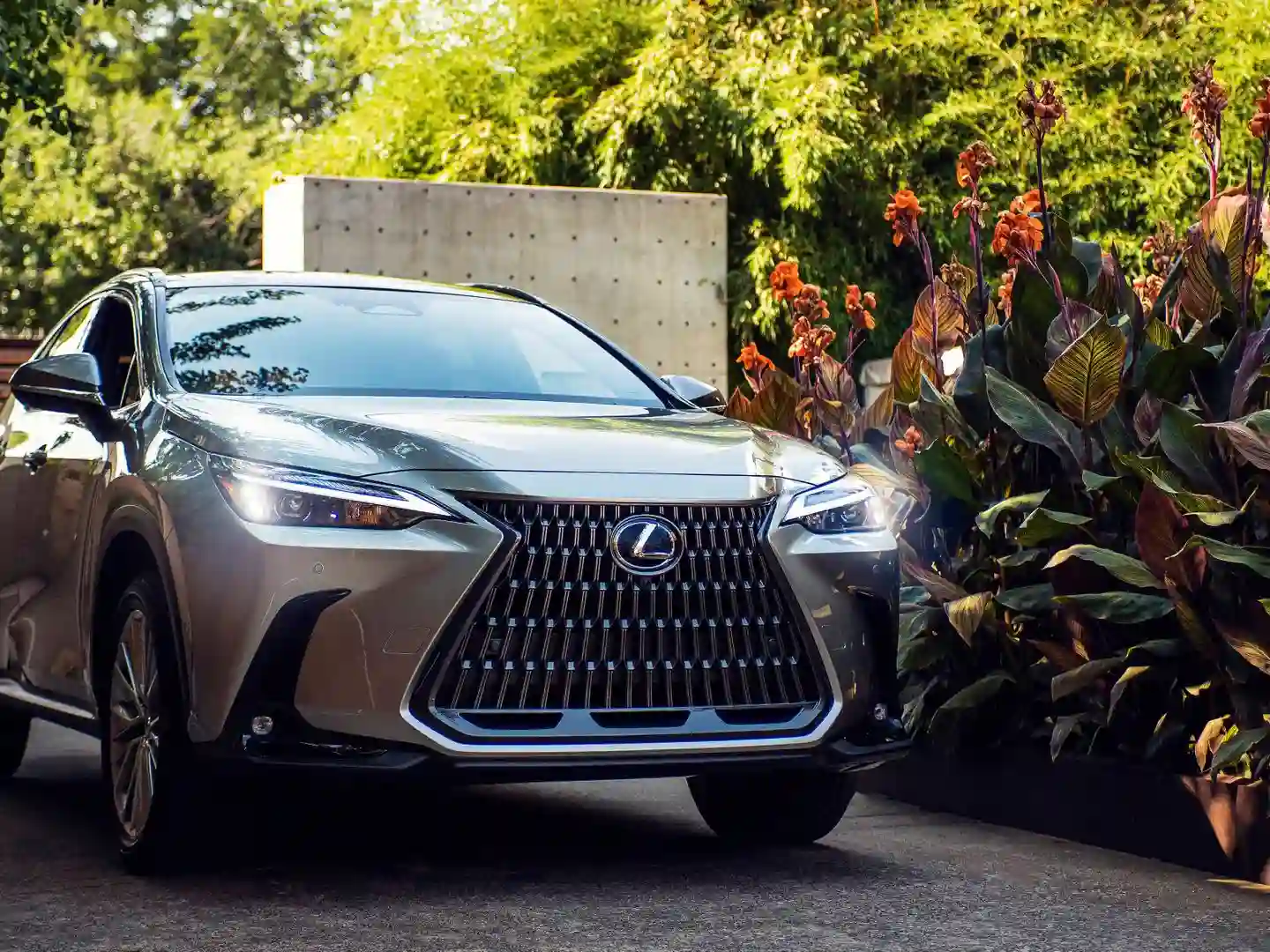 makes.lexus models.nx350h IMAGE