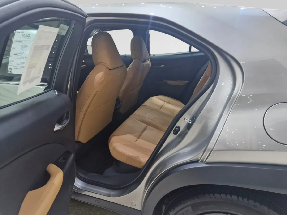 makes.lexus models.ux300h IMAGE