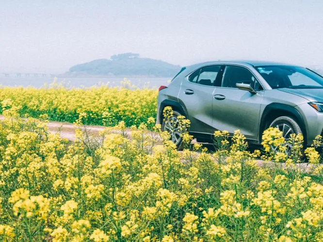 makes.lexus models.ux300h IMAGE