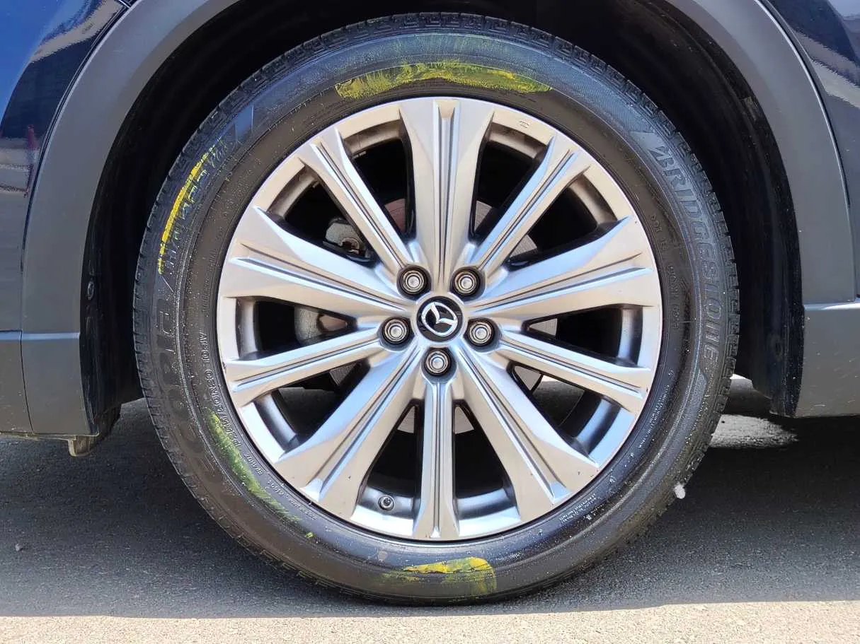 Car image 10