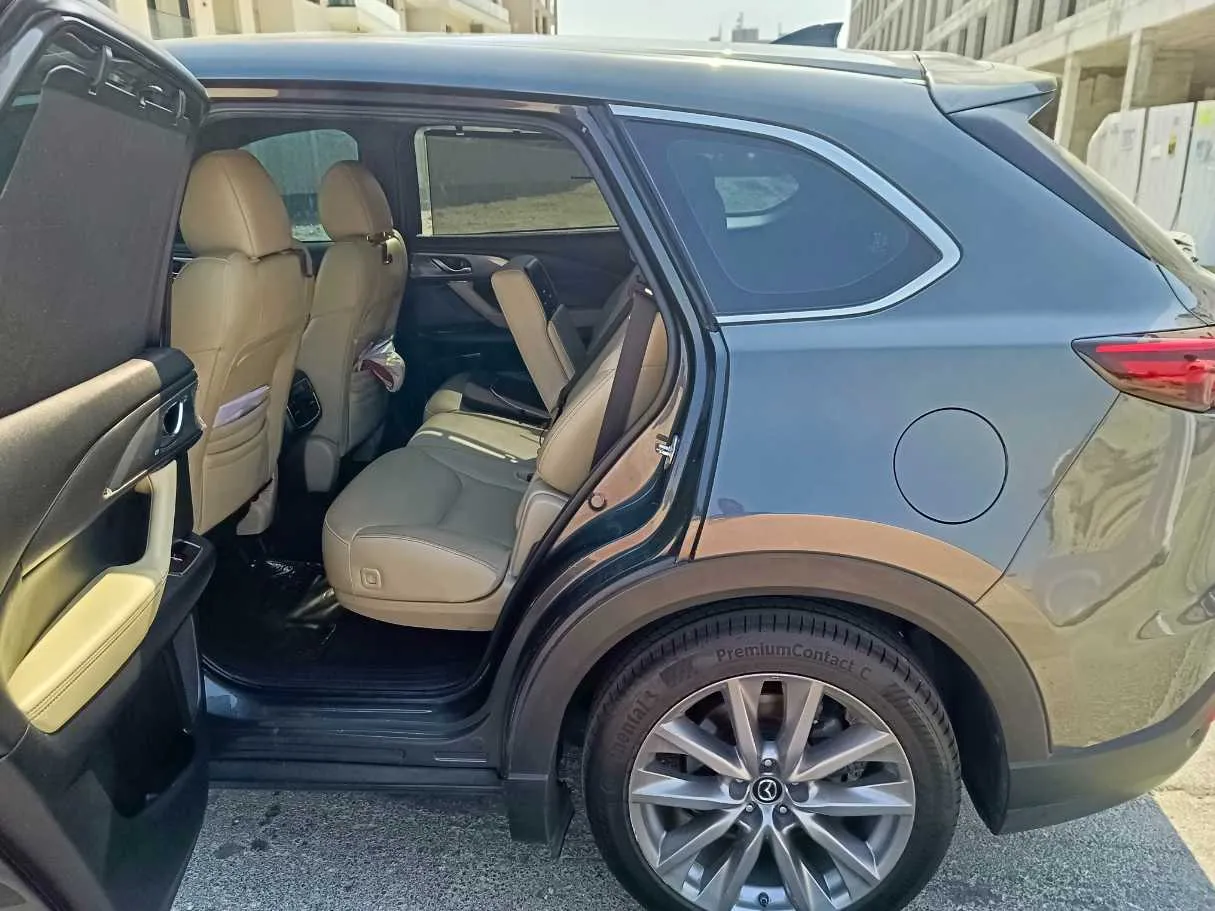Car image 20