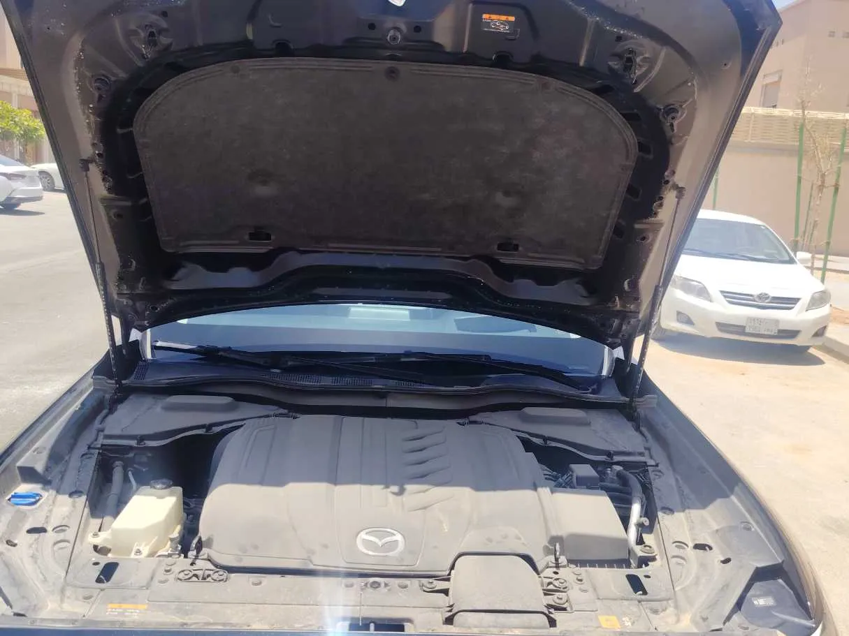 Car image 30