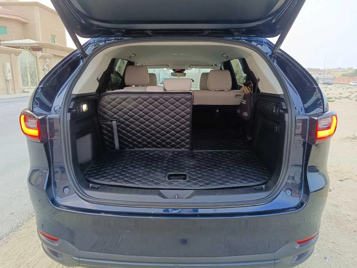 Car image 31