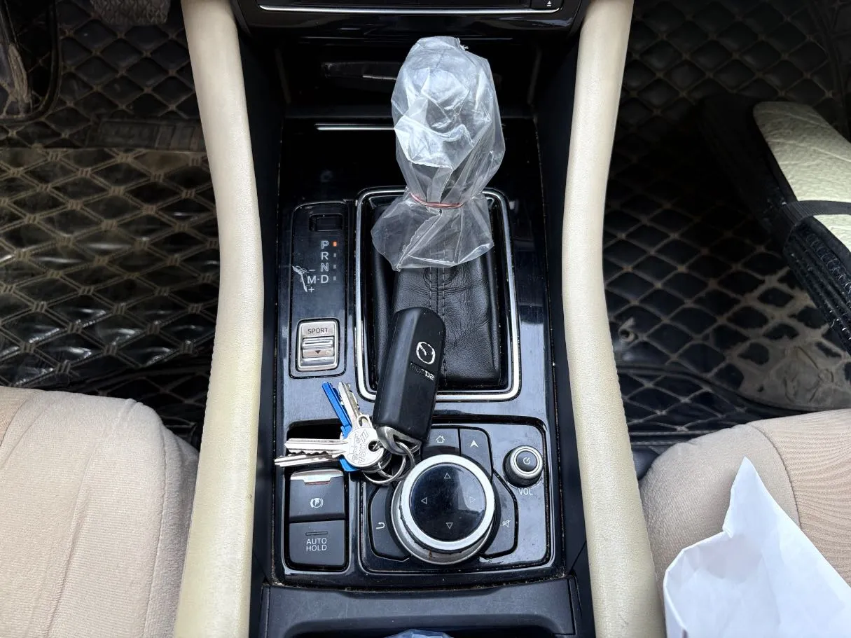 Car image 19