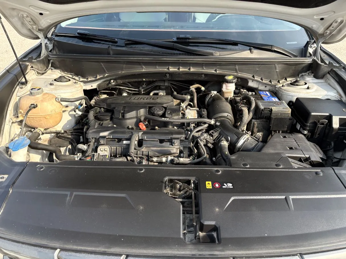 Car image 30