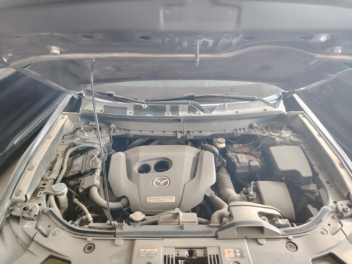 Car image 38