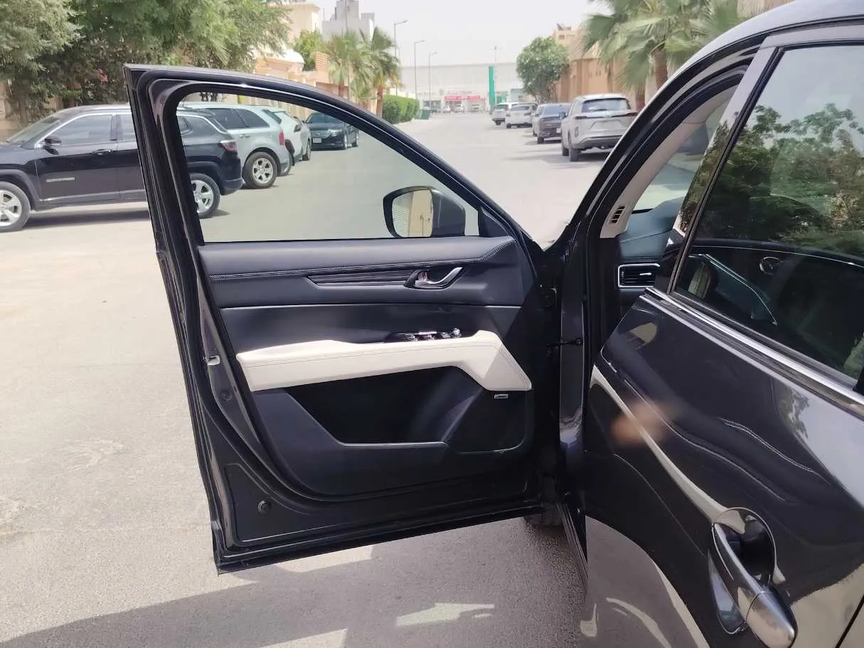 Car image 11