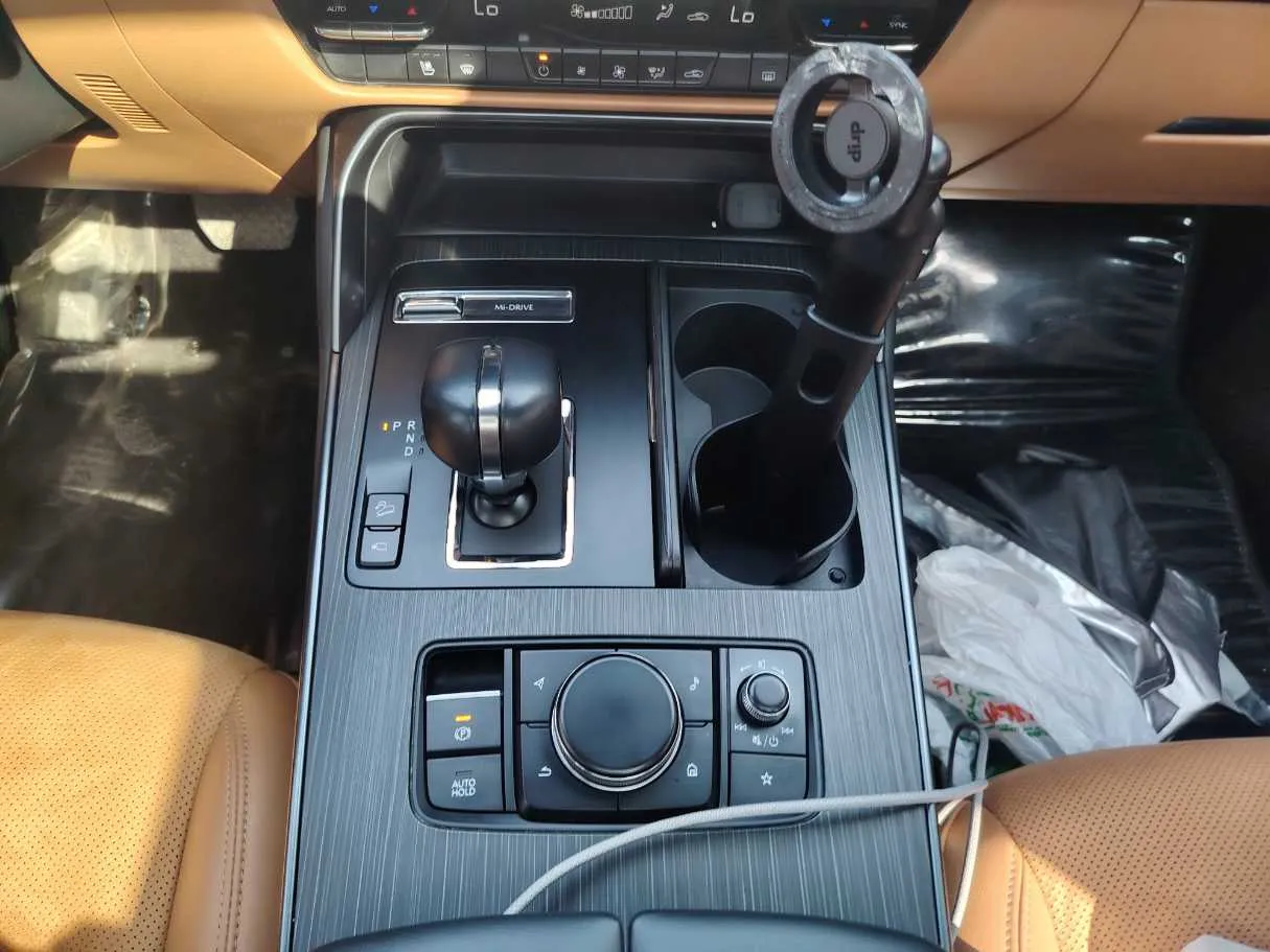 Car image 20