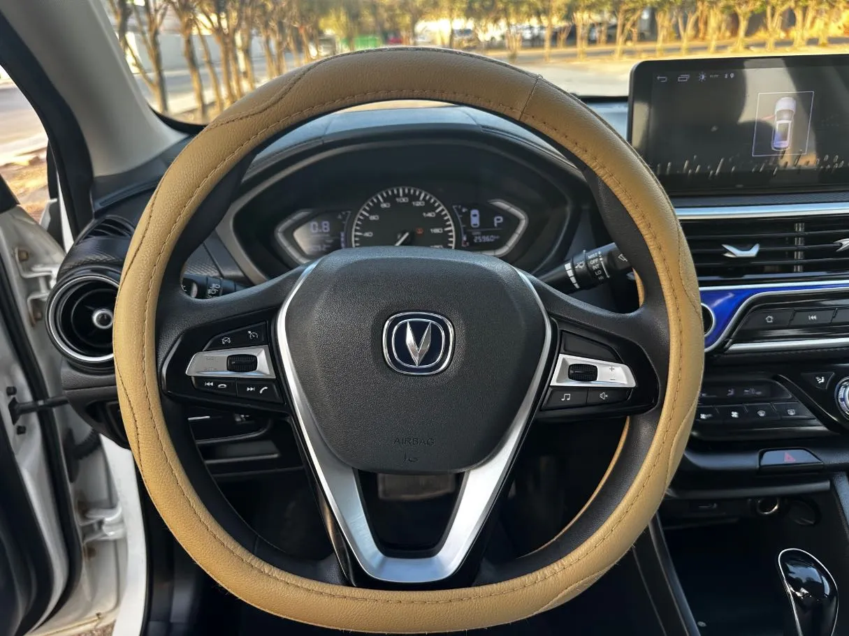 Car image 19