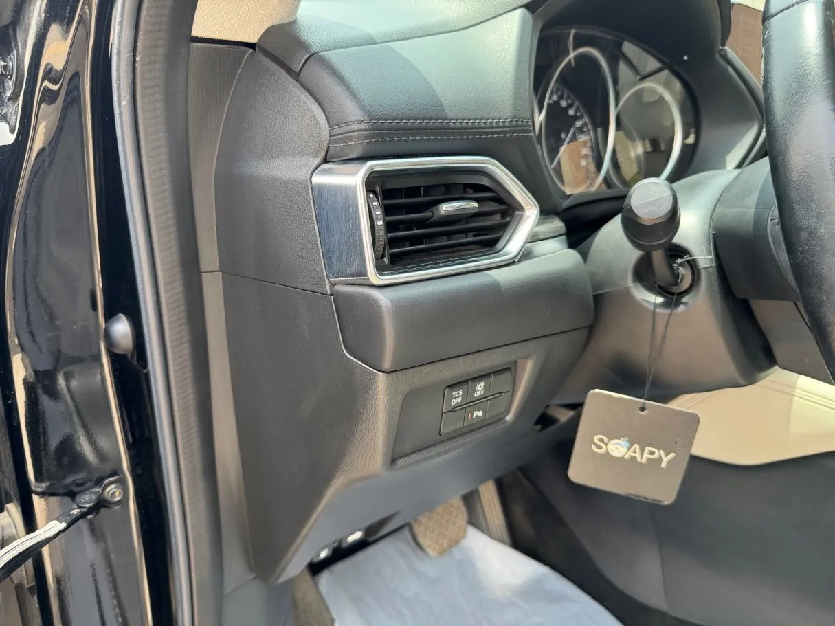 Car image 24