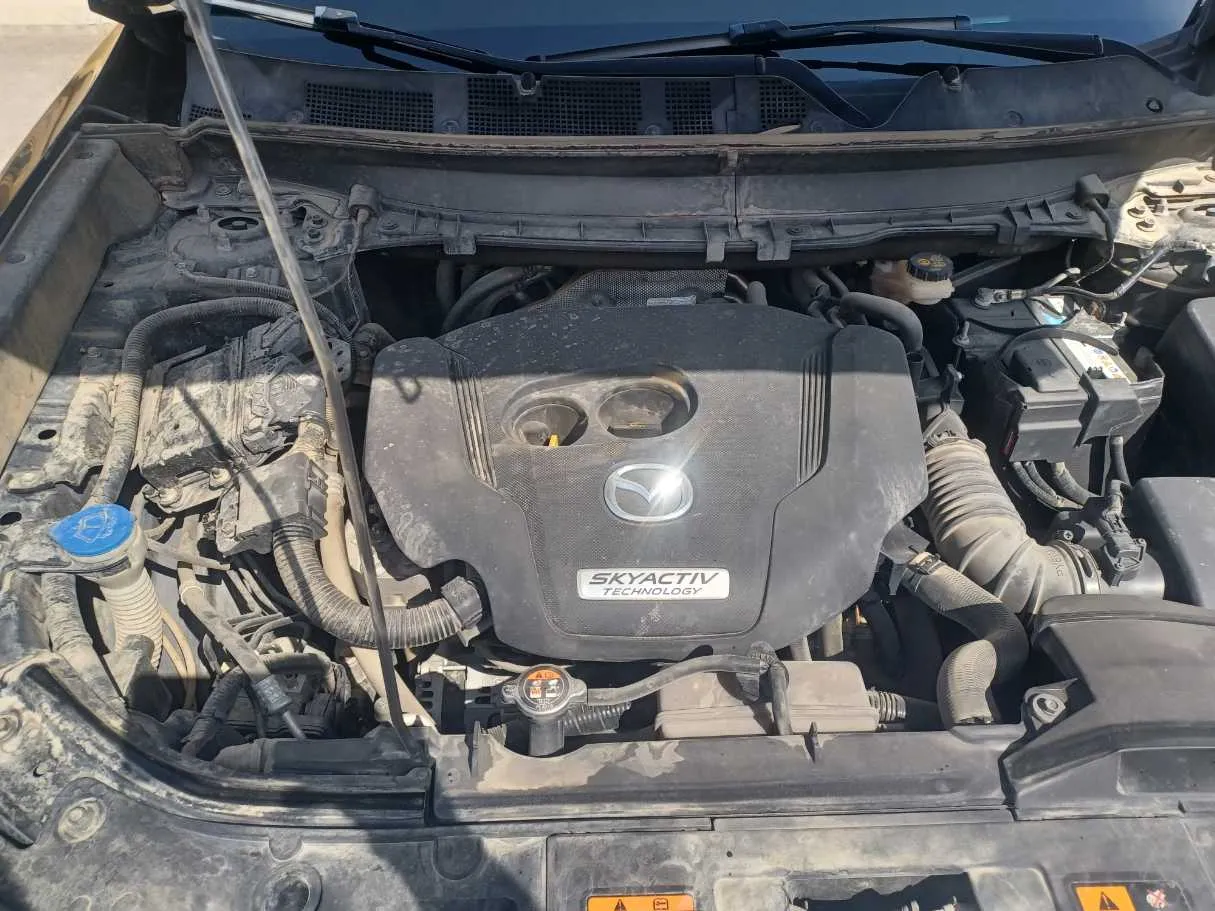 Car image 20