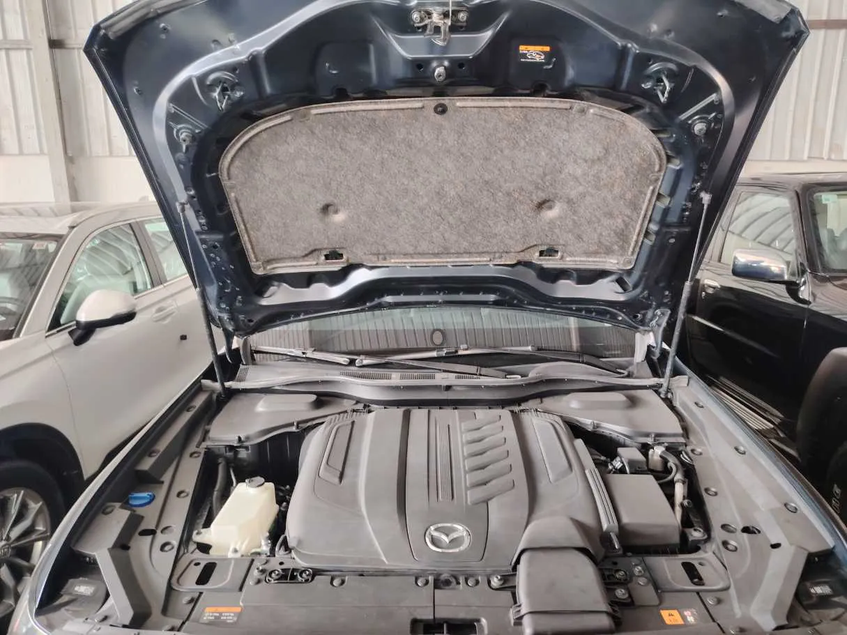 Car image 35