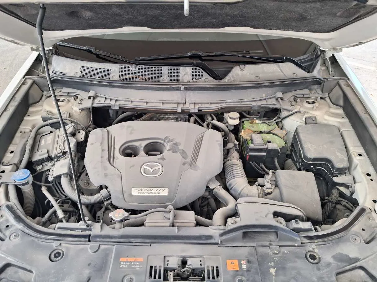 Car image 20