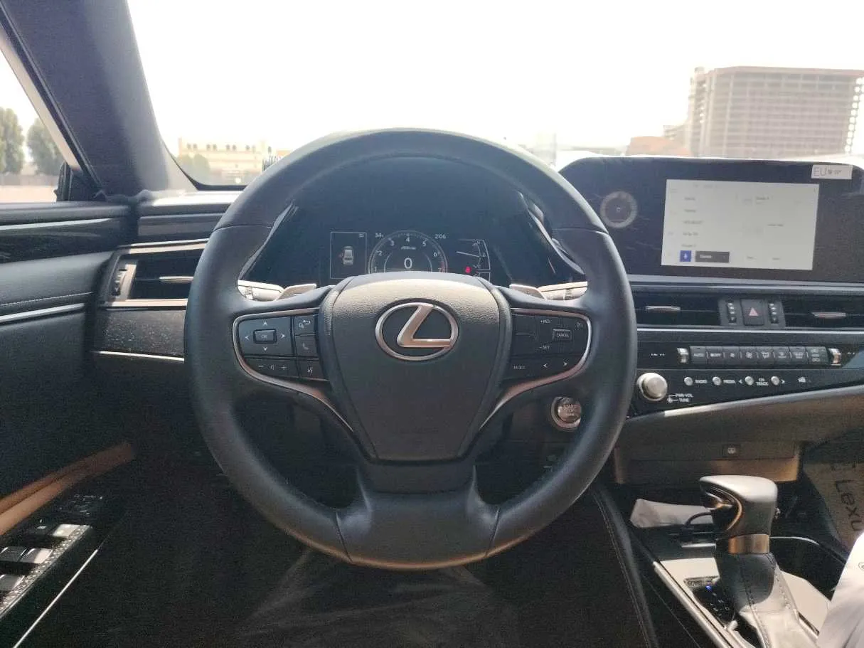 Car image 20