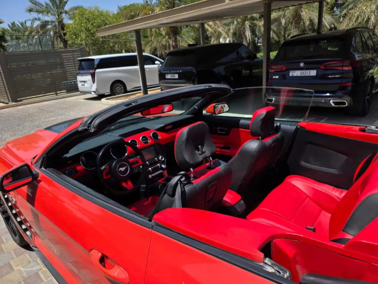 Car image 12