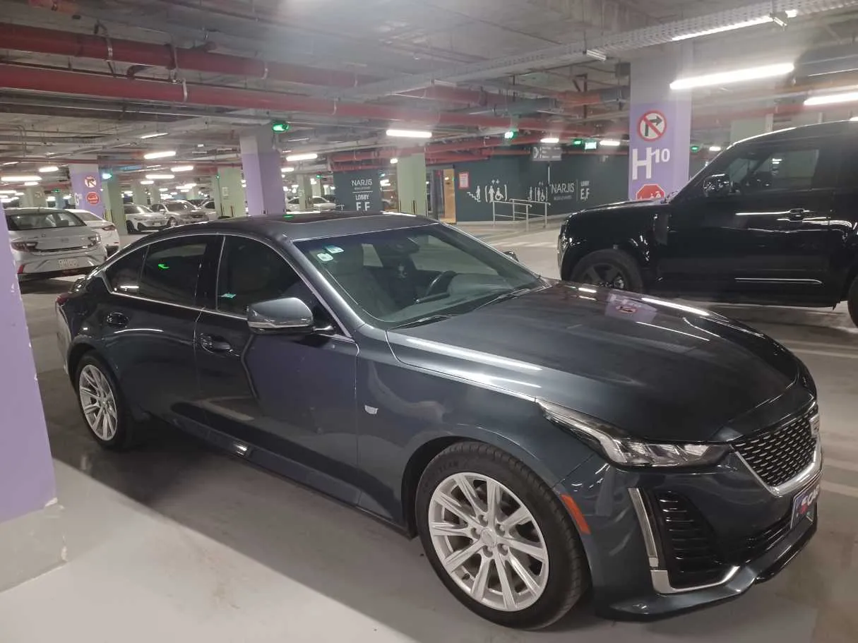 Car image 4