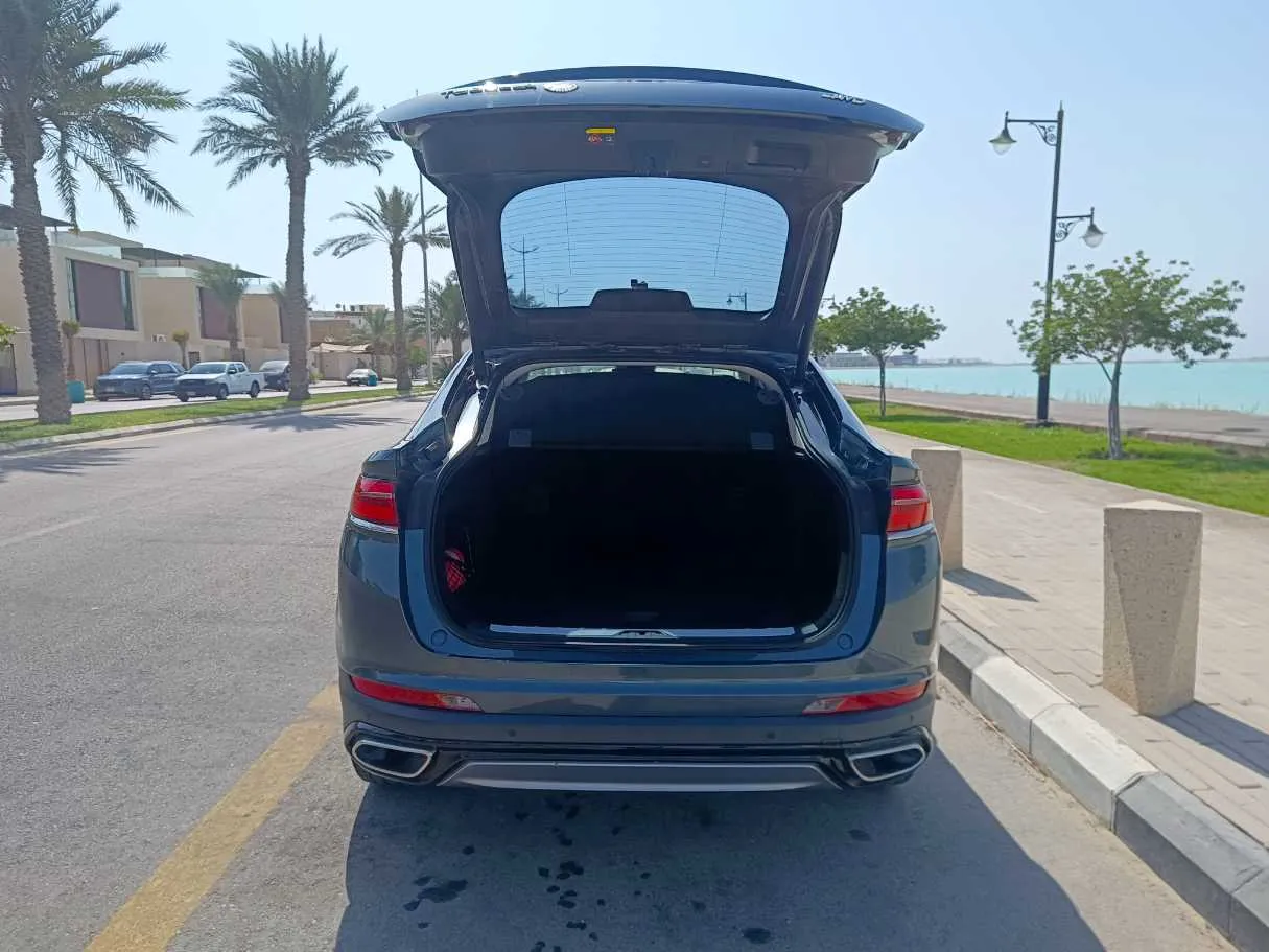 Car image 30