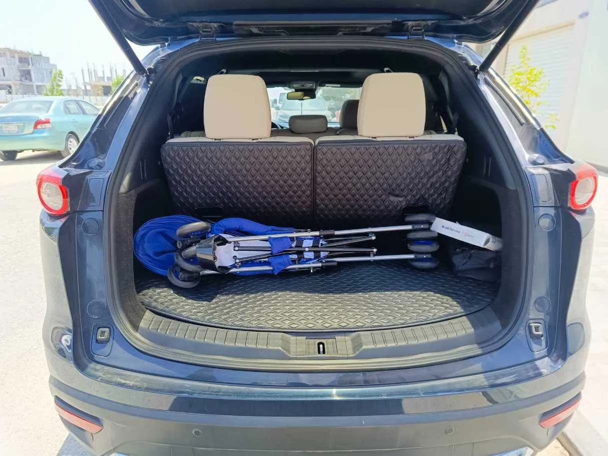 Car image 30