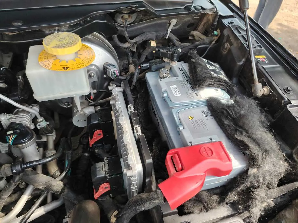 Car image 48