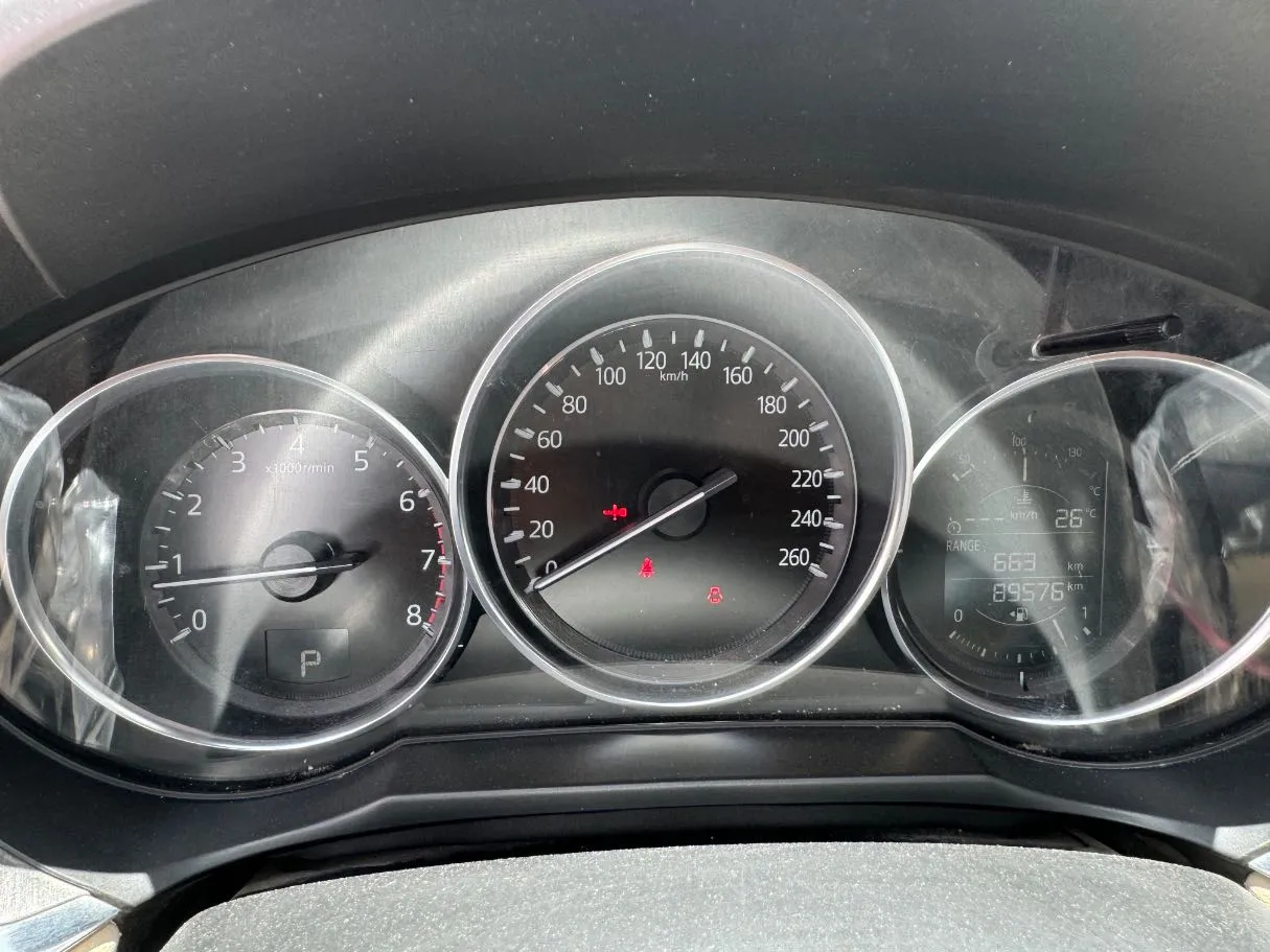 Car image 20