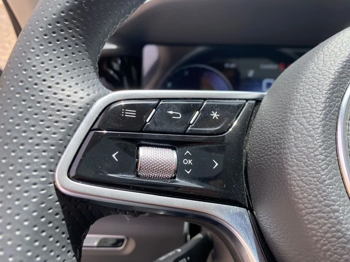 Car image 30