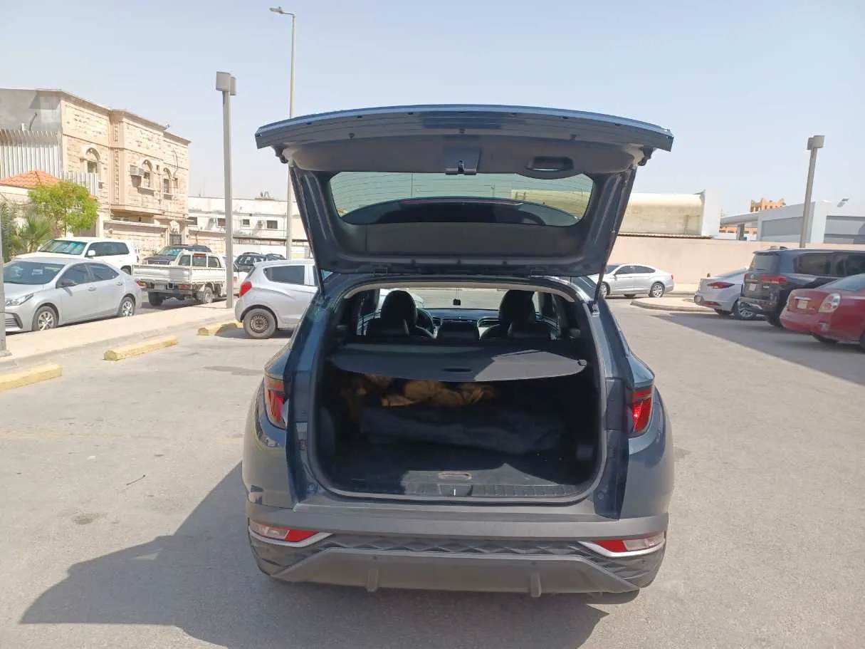 Car image 19