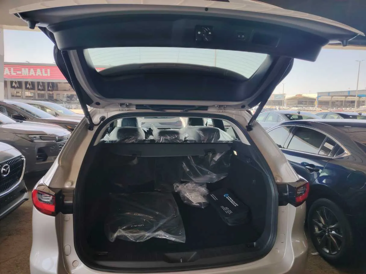 Car image 30