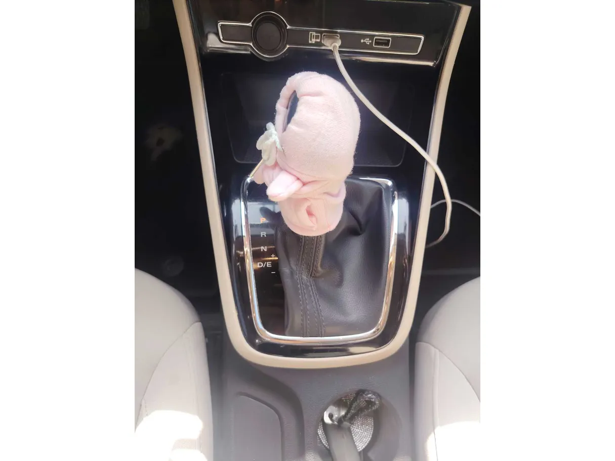 Car image 20