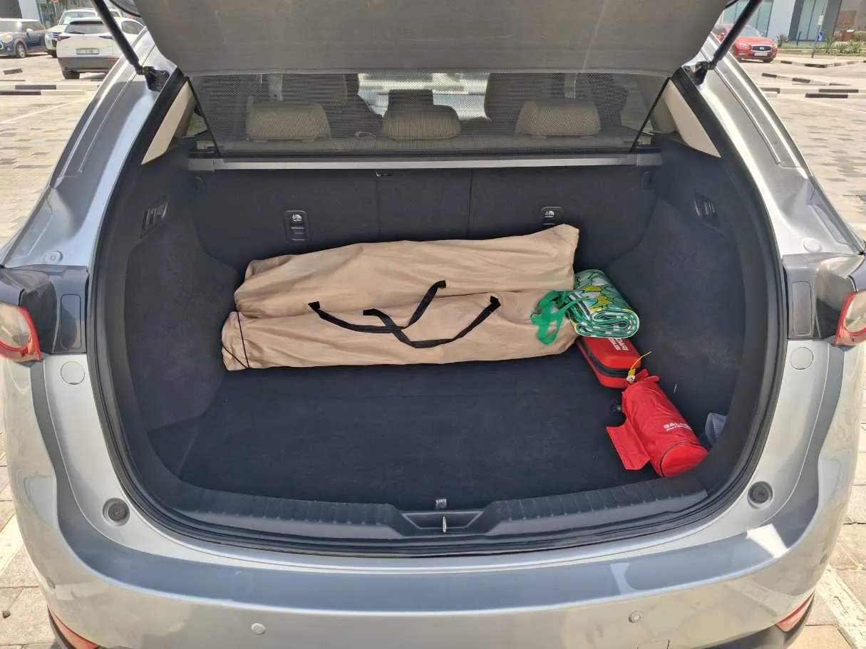 Car image 19