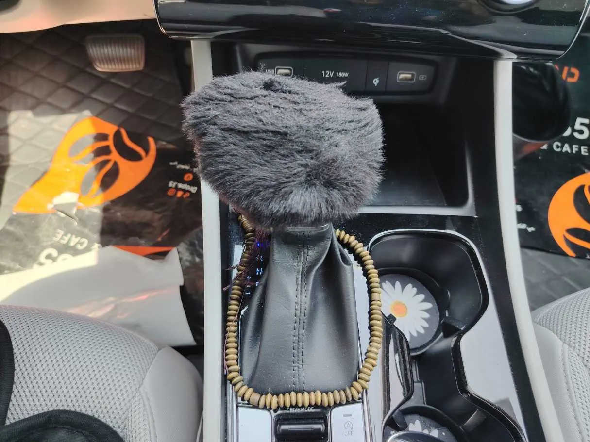 Car image 20
