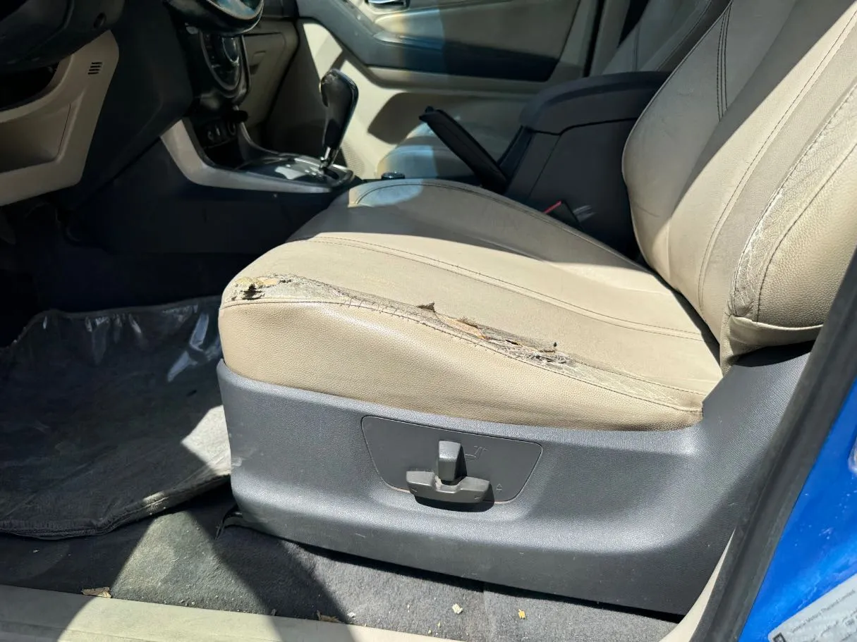 Car image 24