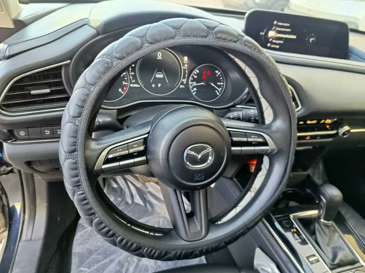 Car image 20