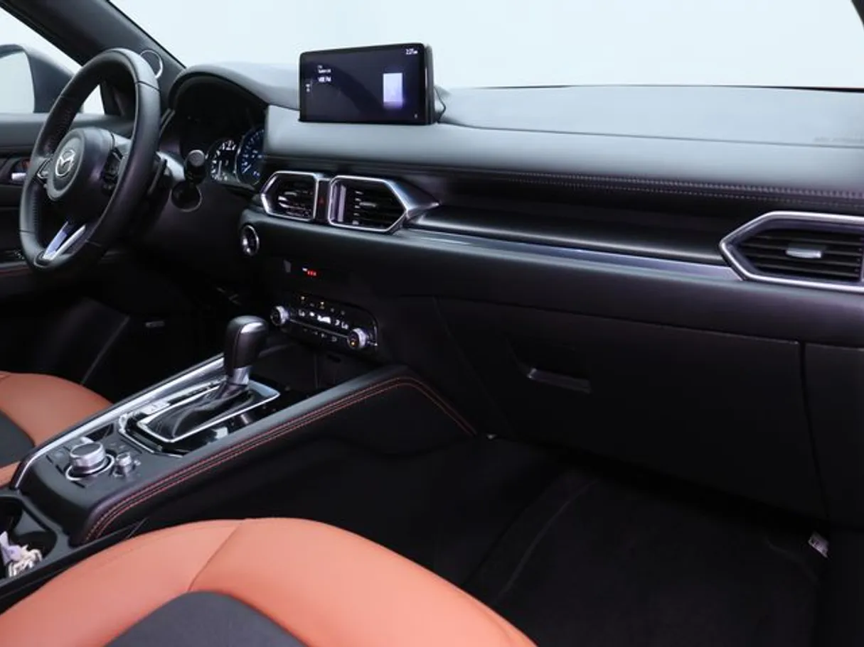 Car image 10