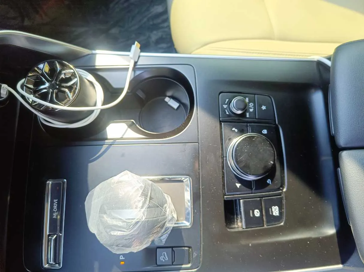 Car image 19