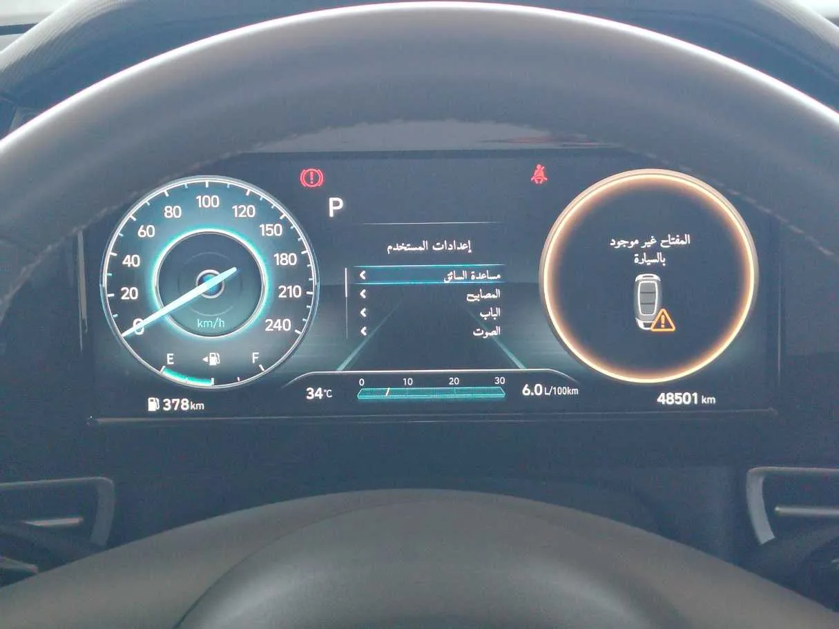 Car image 30
