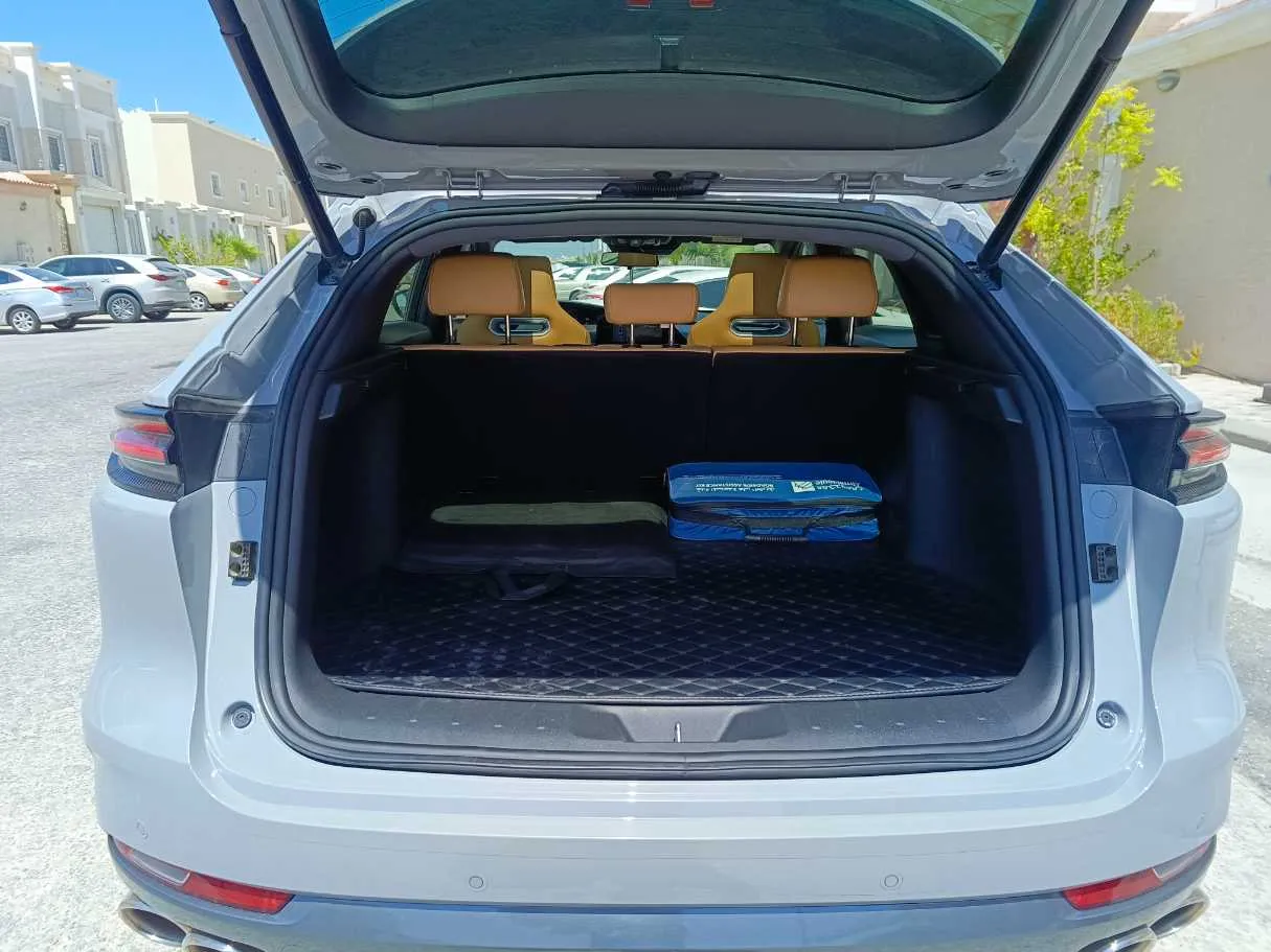 Car image 31