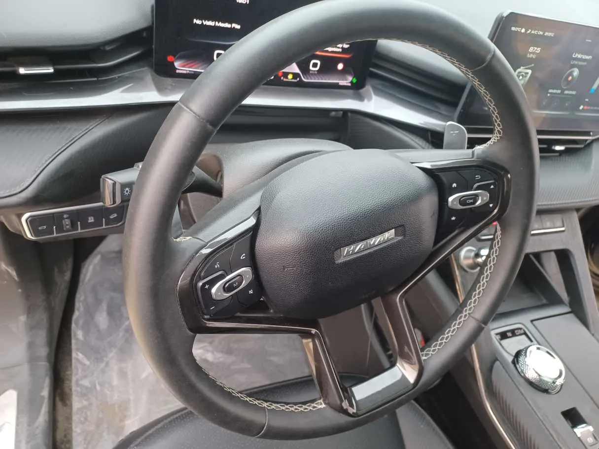 Car image 19