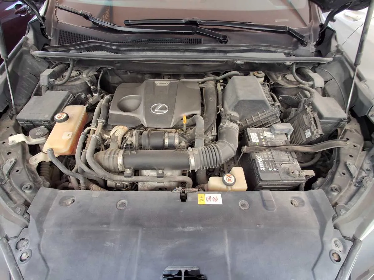 Car image 20
