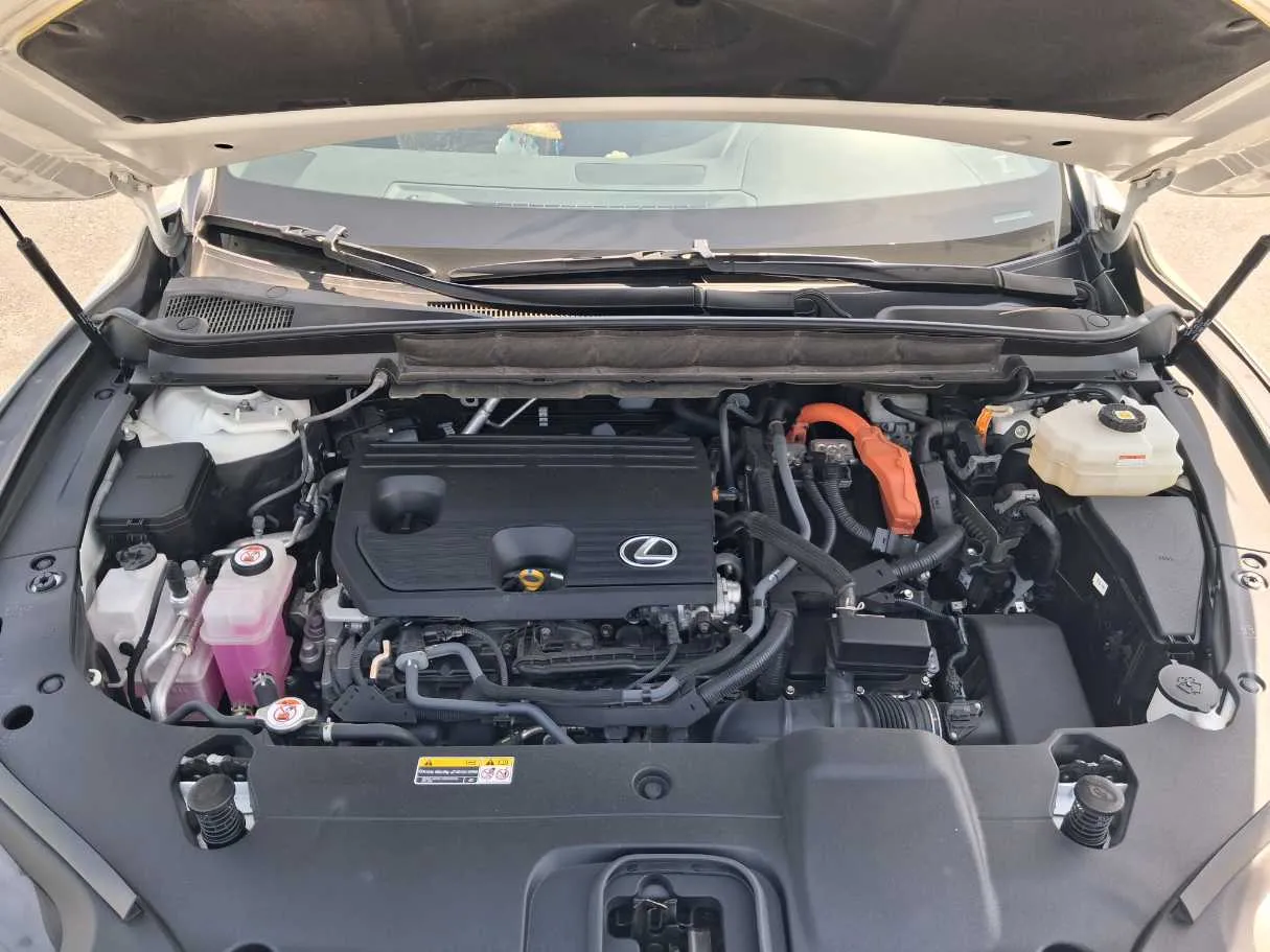 Car image 19