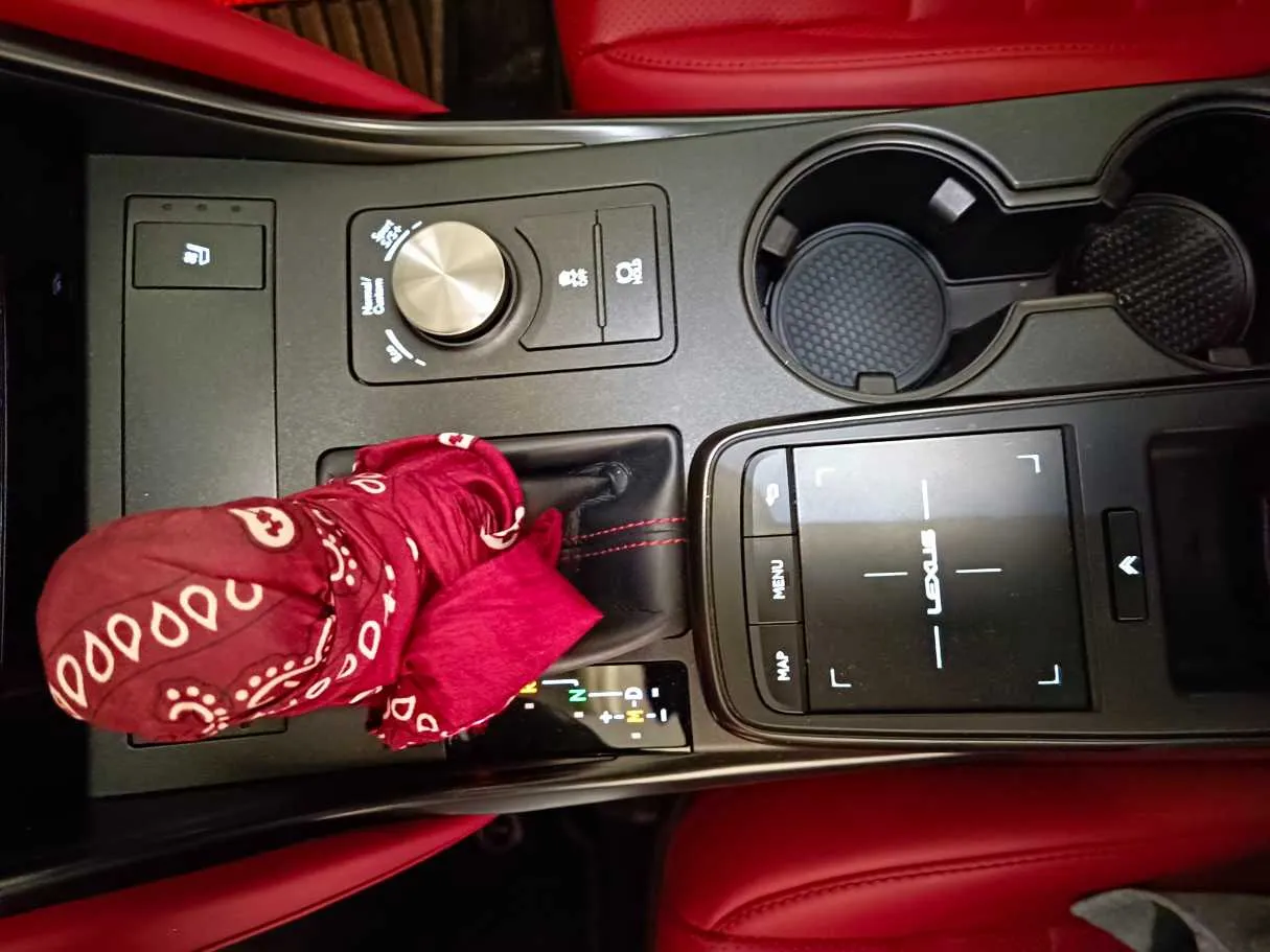 Car image 19