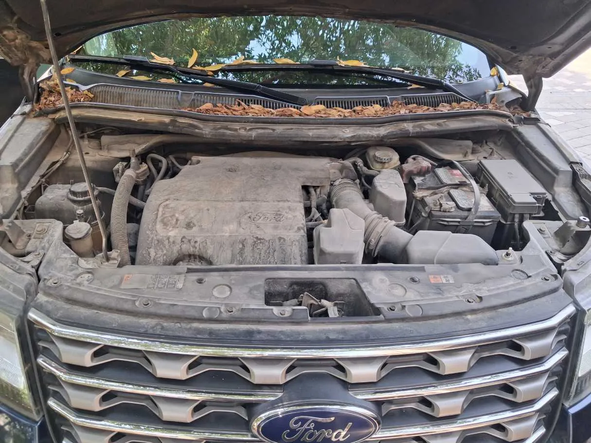 Car image 21