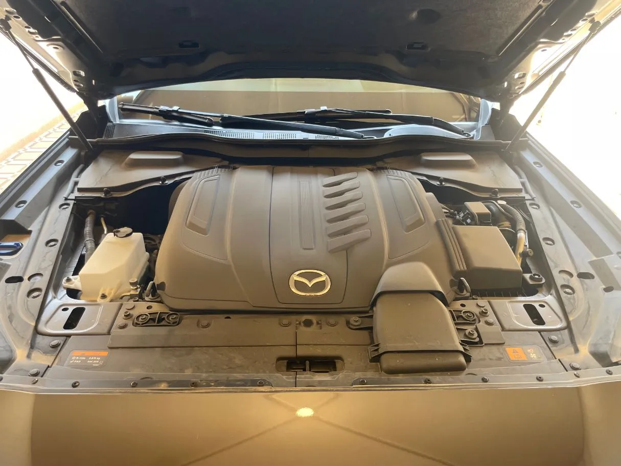 Car image 30