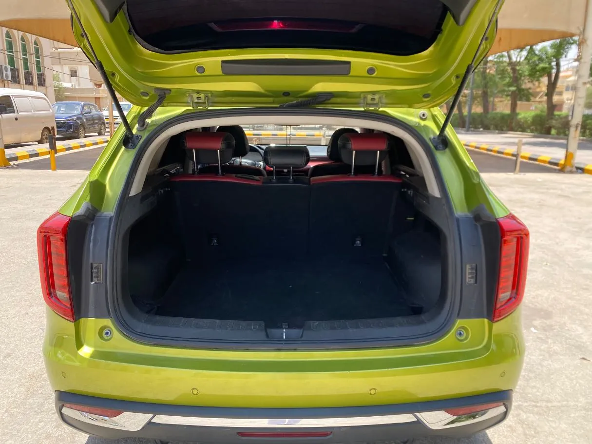 Car image 20