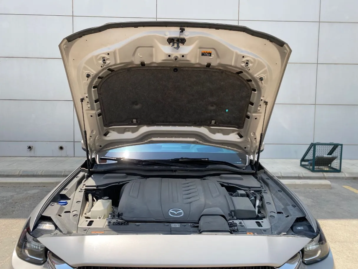 Car image 29